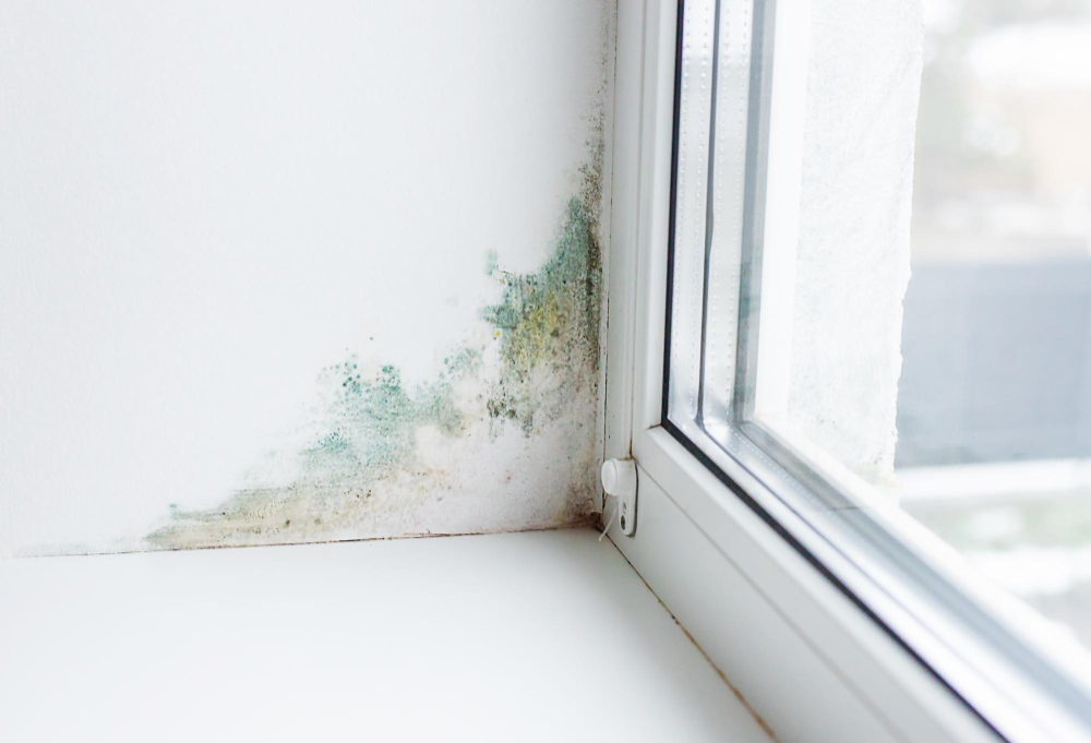 Humidité dans le logement : les effets concrets sur votre santé au quotidien